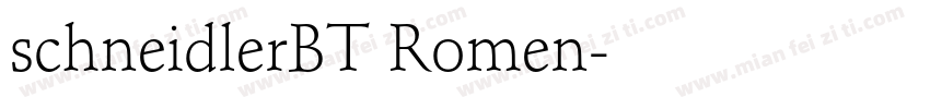 schneidlerBT Romen字体转换